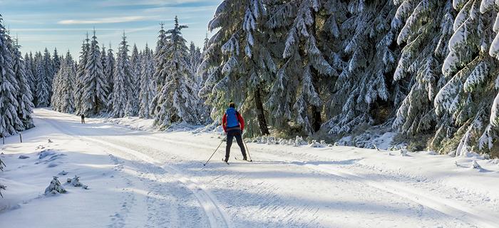 Trasy biegowe w Lesie Bawarskim są przyjazne dla amatorów