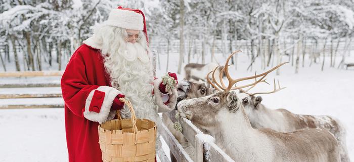 Święty Mikołaj karmi renifery w Rovaniemi w Laponii