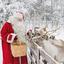 Święty Mikołaj karmi renifery w Rovaniemi w Laponii