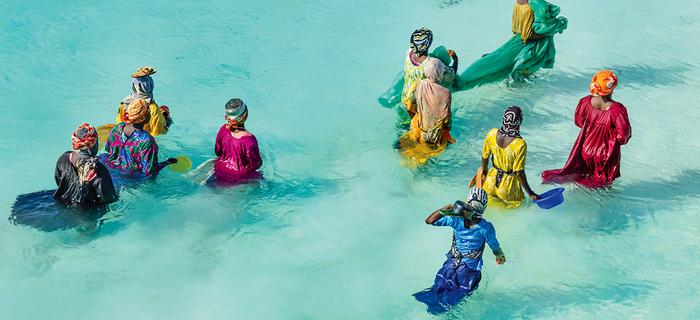 Zanzibar. Kobiety odchodzą daleko od brzegu i zbierają owoce morza 