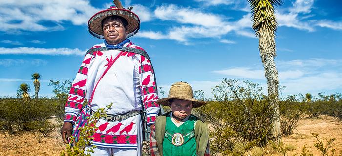 Indianie stanowią ok. 20% ludności Meksyku. Wixaritari są jedną z mniejszych grup 