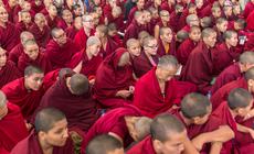 Mnisi buddyjscy w Dharamsali