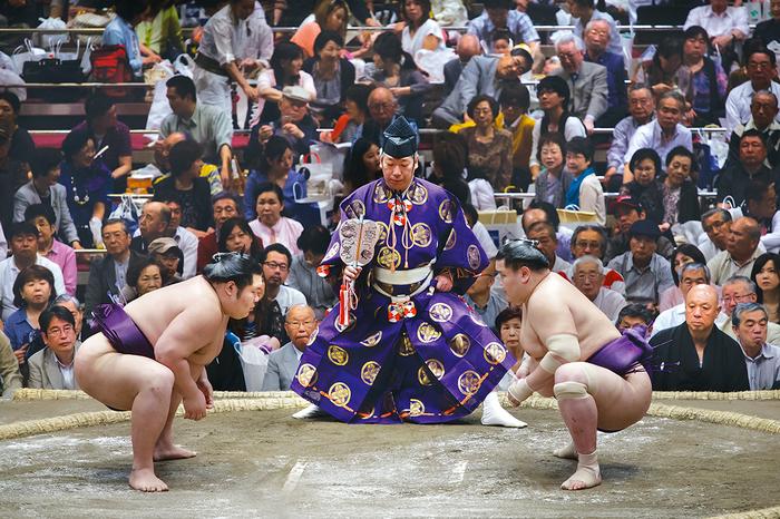 Zawodnicy sumo gotowi do walki
