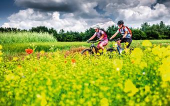 Leżący na północ od Pragi region Kokorinsko słynie z sielskich pejzaży