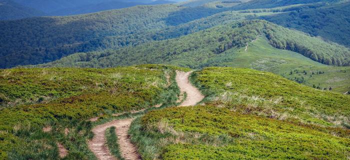 Bieszczady