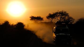 Jak zorganizować wyprawę na safari w Kenii? Sprawdzone adresy