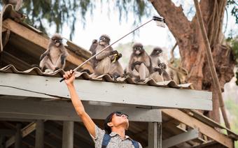 Selfie z małpkami w Tajlandii
