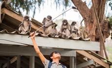 Selfie z małpkami w Tajlandii