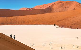 Dead Vlei to najsłynniejsza z dolin pustyni Namib