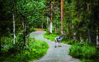 Finlandia