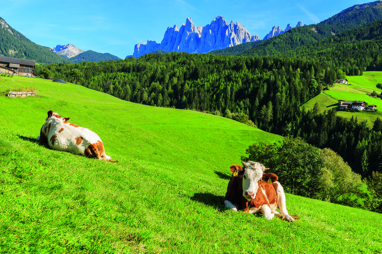 Odpoczynek na wsi w Tyrolu Południowym