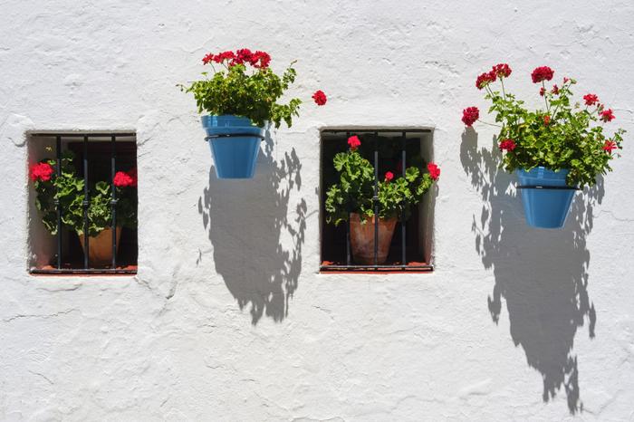 Kolorowe donice z kwiatami zawieszone na białych ścianach domów to jeden ze znaków rozpoznawczych Mijas