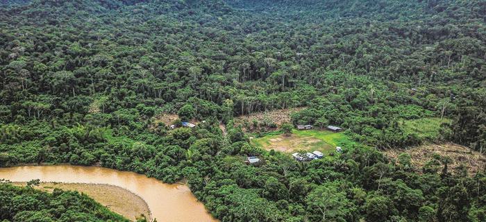 Park Yasuni, Ekwador