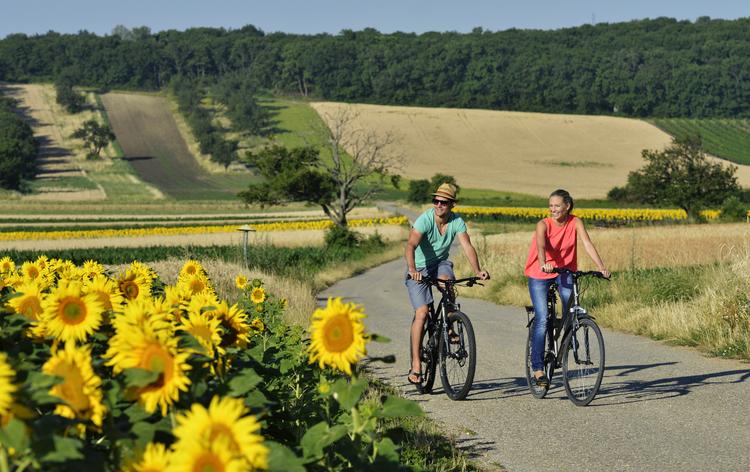 Burgenland to raj dla miłosników rowerowych wypraw