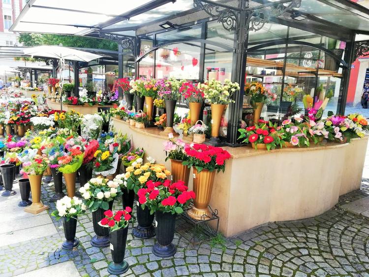 Świdnica. Kwiaciarki na stałe wpisały się w krajobraz rynku