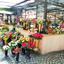 Świdnica. Kwiaciarki na stałe wpisały się w krajobraz rynku