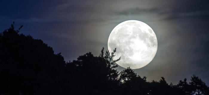 Pełnia Księżyca Jesiotrów w sierpniu/ zdjęcie poglądowe