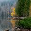 Szumawa, Czarne Jezioro. Fot. F6 Photography_Shutterstock